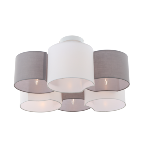 Modern plafondlicht van 6 bbligingen