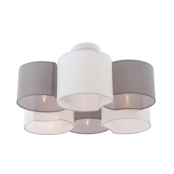 Modern plafondlicht van 6 bbligingen